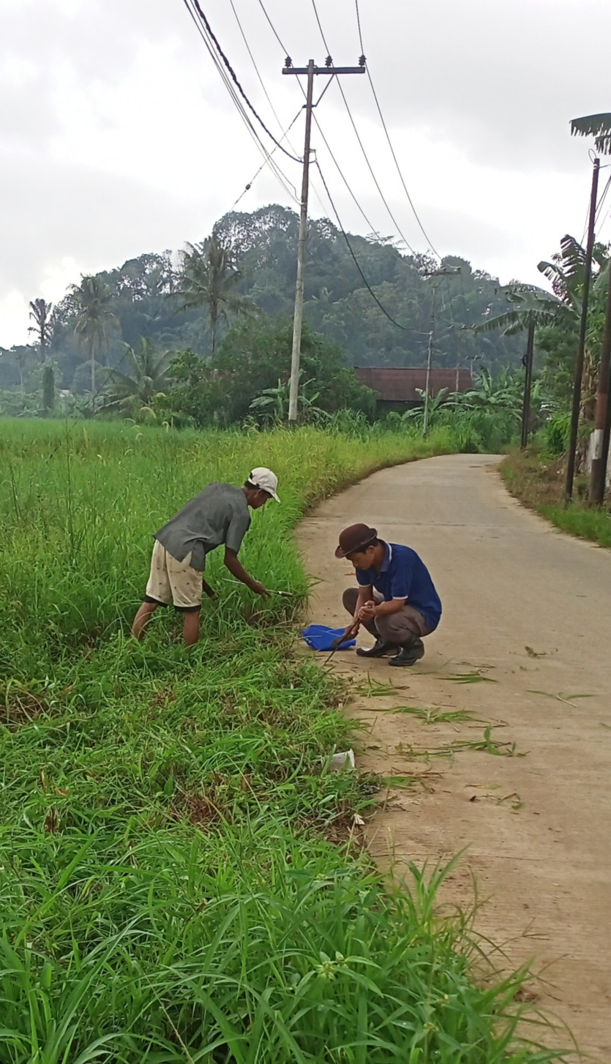 Jalan.muang Ilir RT 27