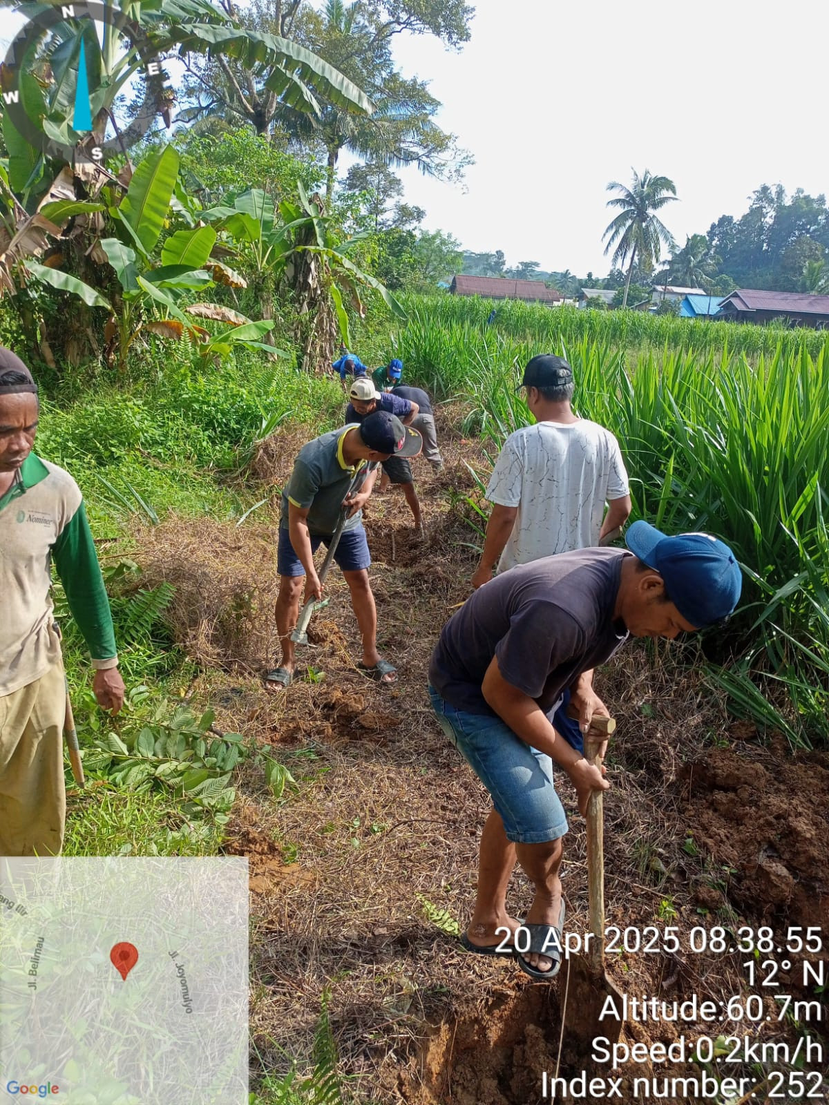 Gotong royong