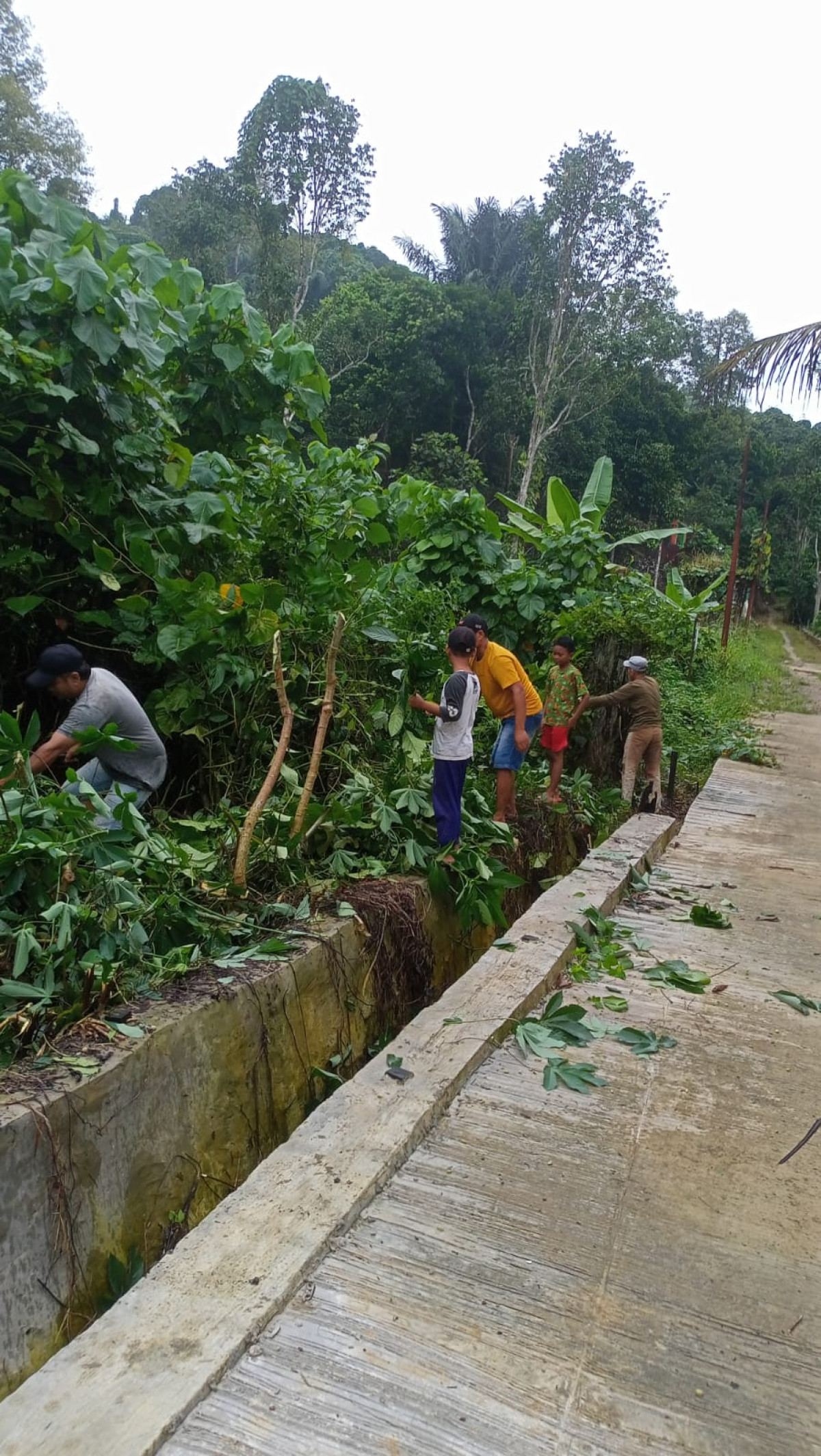 Gotong royong
