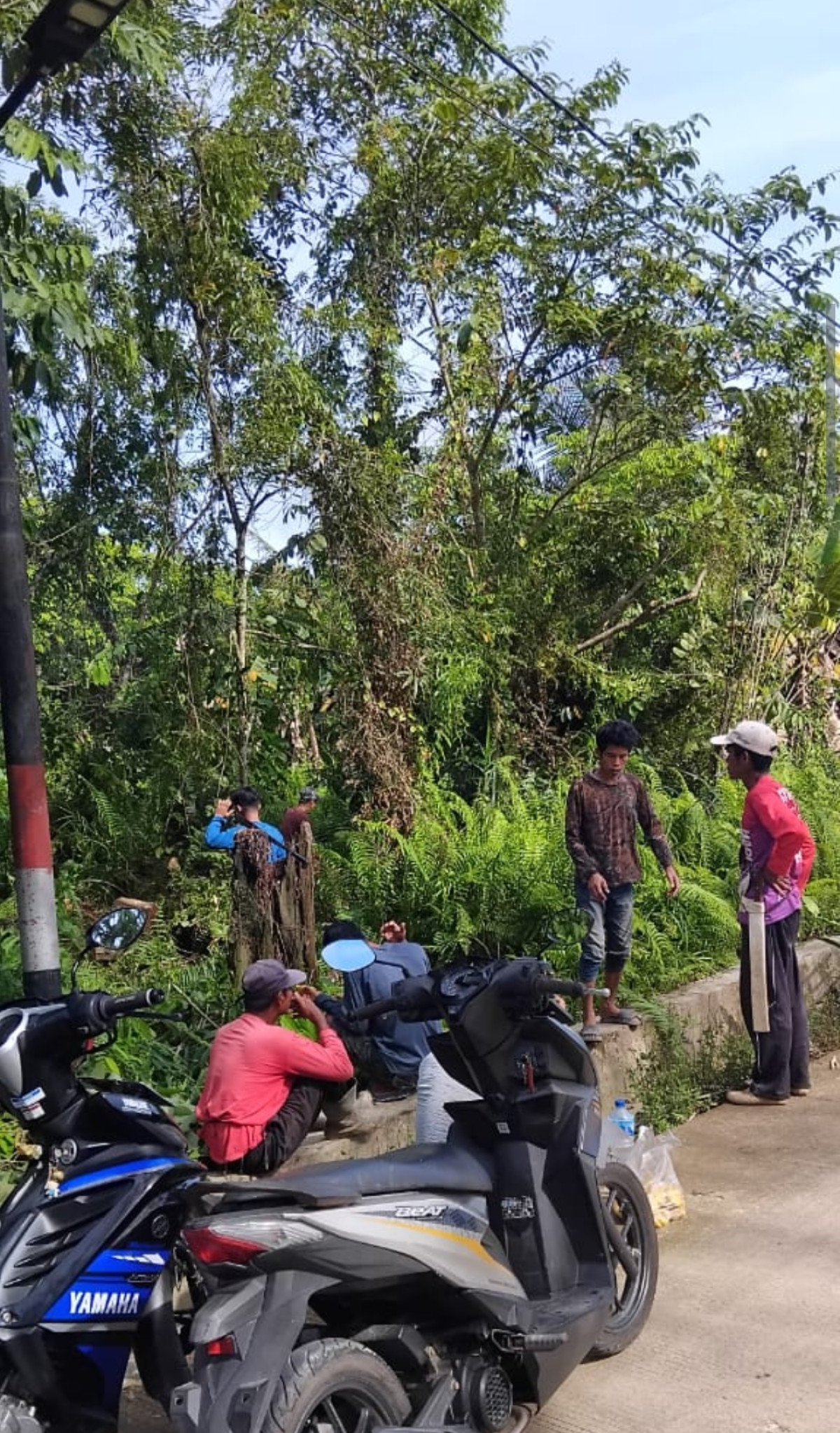 Jalan Rejo Mulyo RT 31