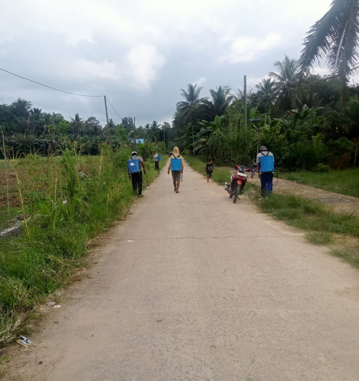 Penyemprotan rumput pinggir jalan Rejo Mulyo RT 31