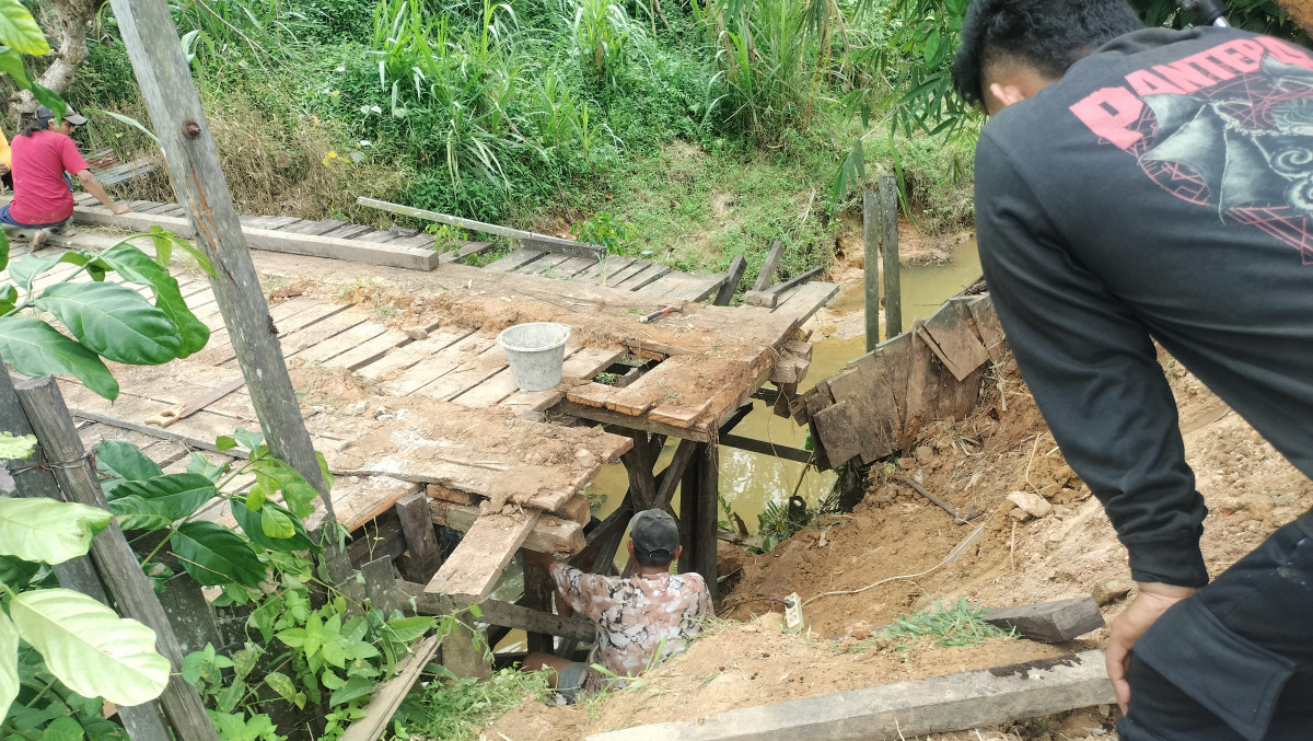 Membersihkan GG jambu Dan memperbaiki jembatan