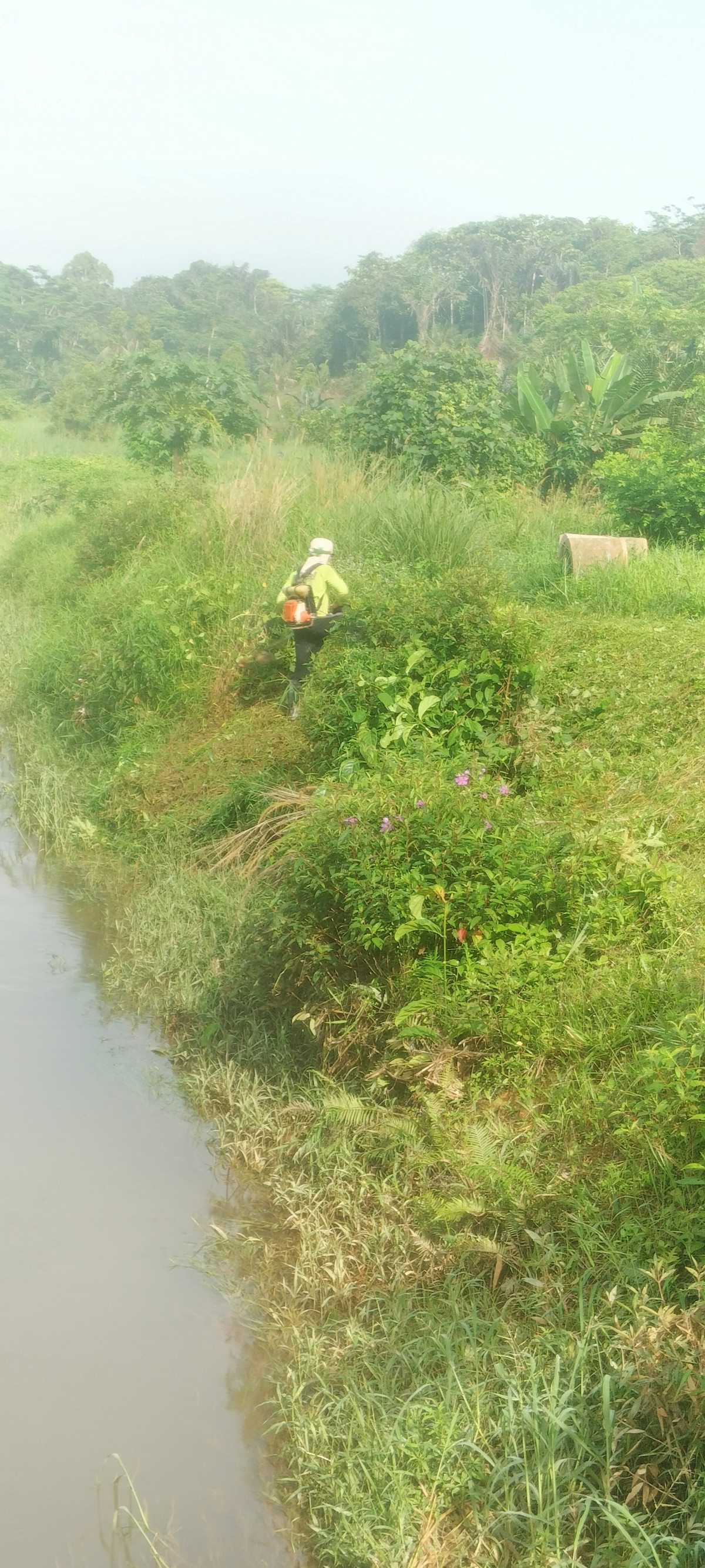 Gotong royong di gg jambu