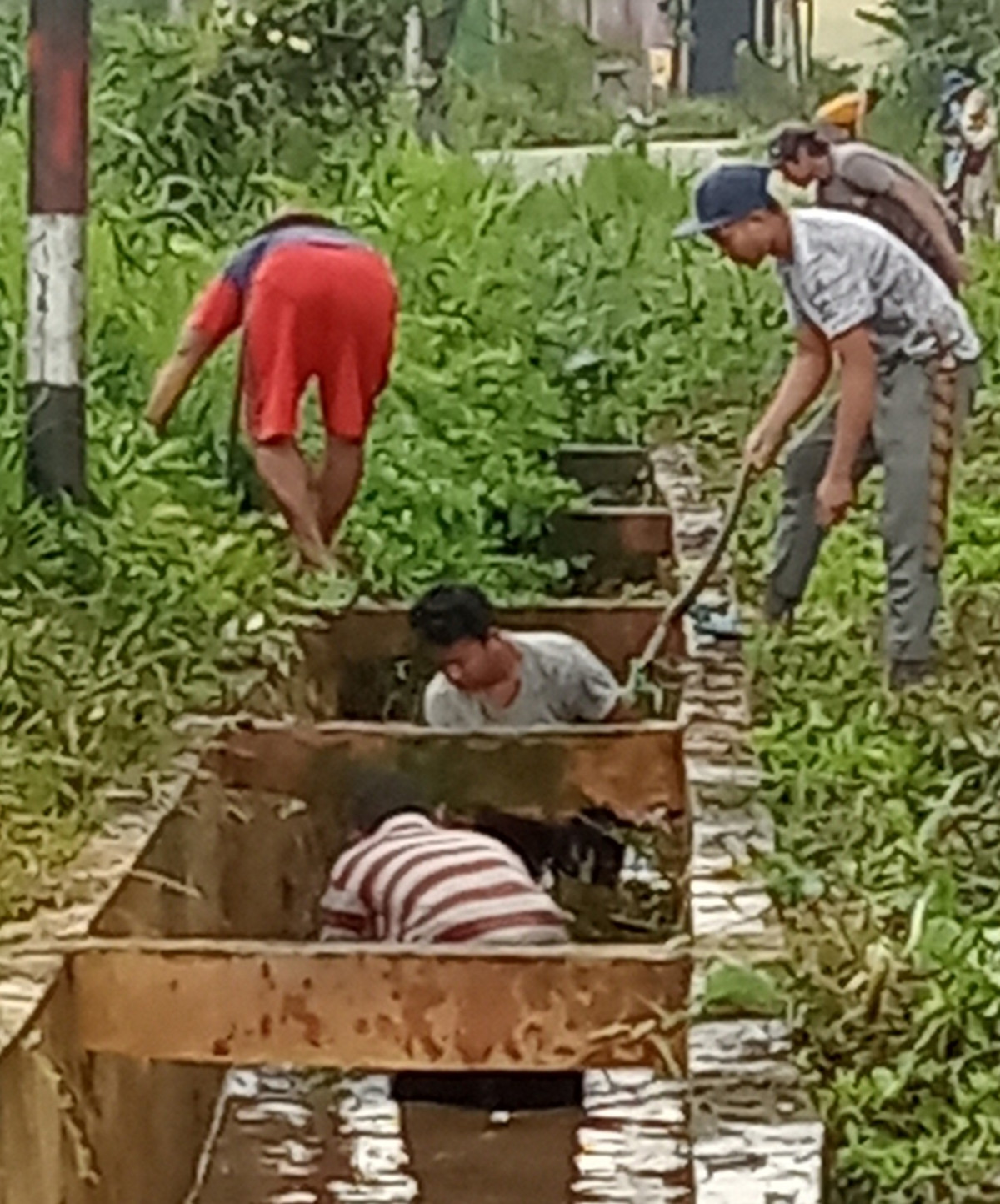 Pembersihan saluran air atau drainase dan pembersihan rumput kanan dan kiri jalan