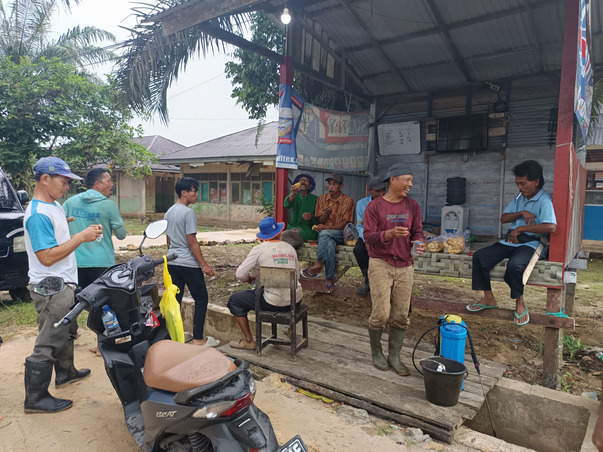 Minggu pertama