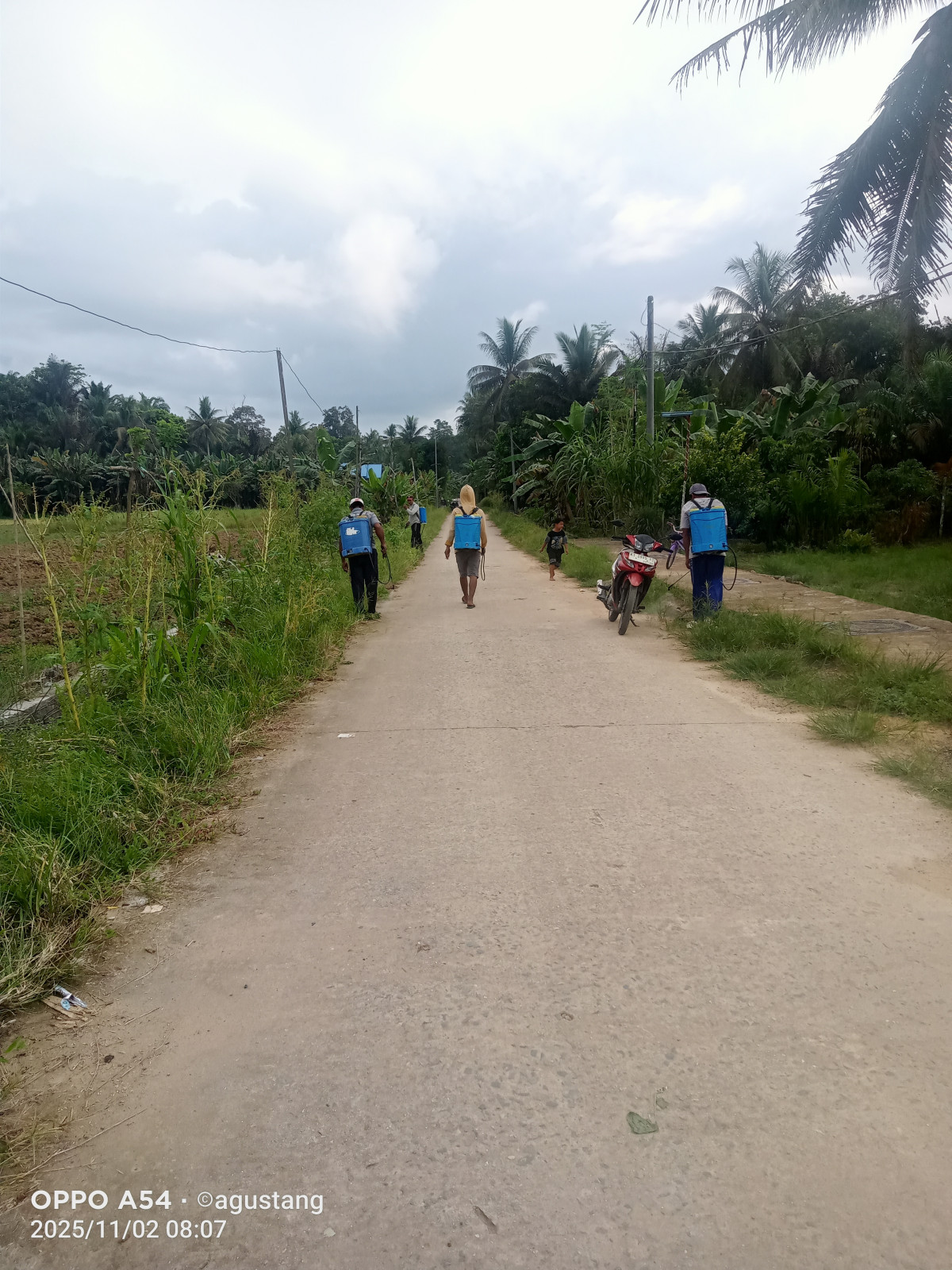 Gotong royong