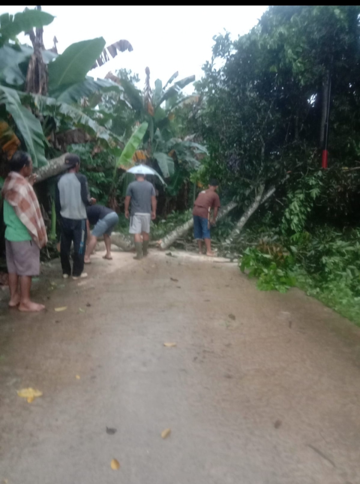 Gotong royong
