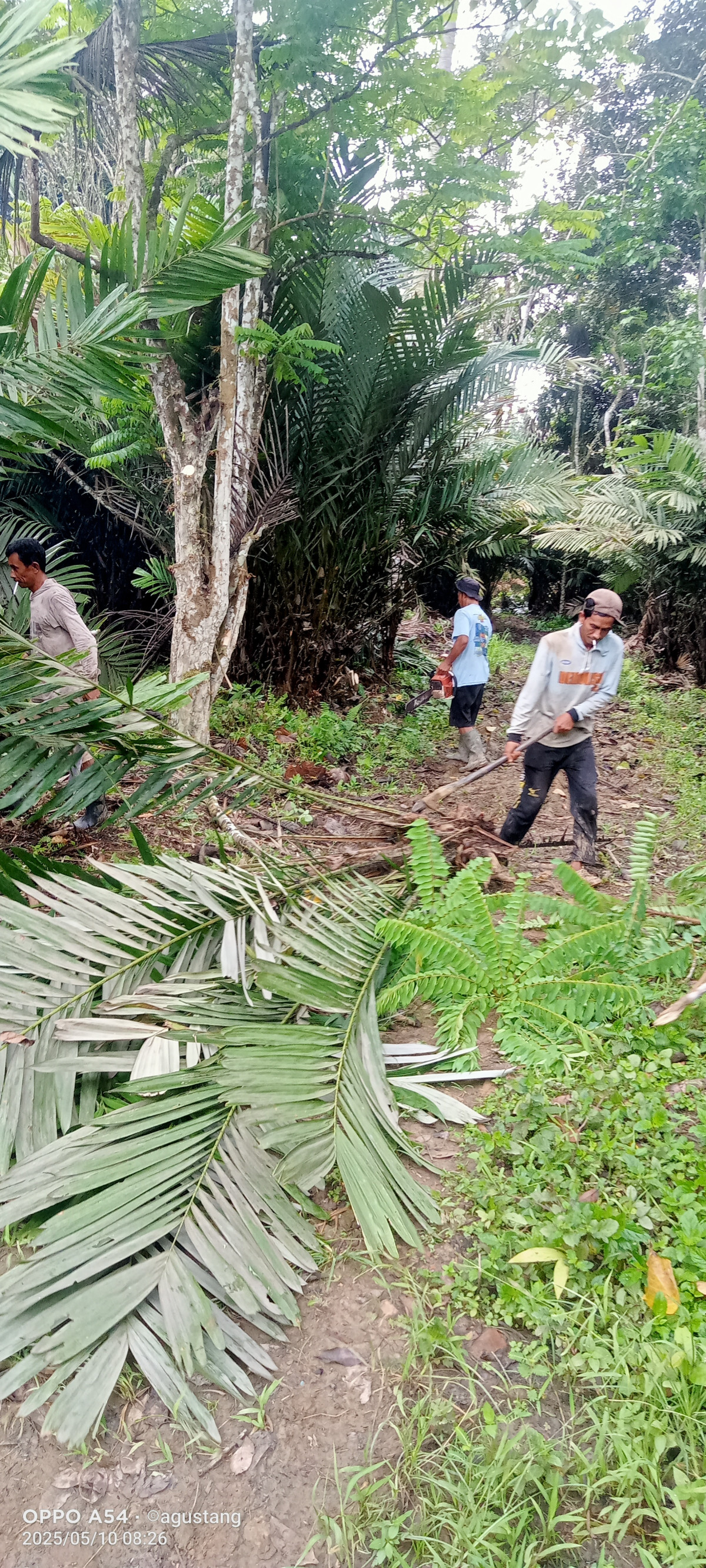 Kerja bakti