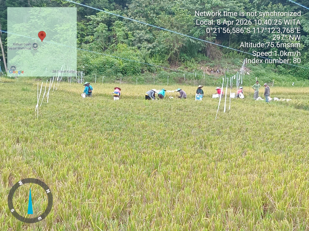 Gotong royong