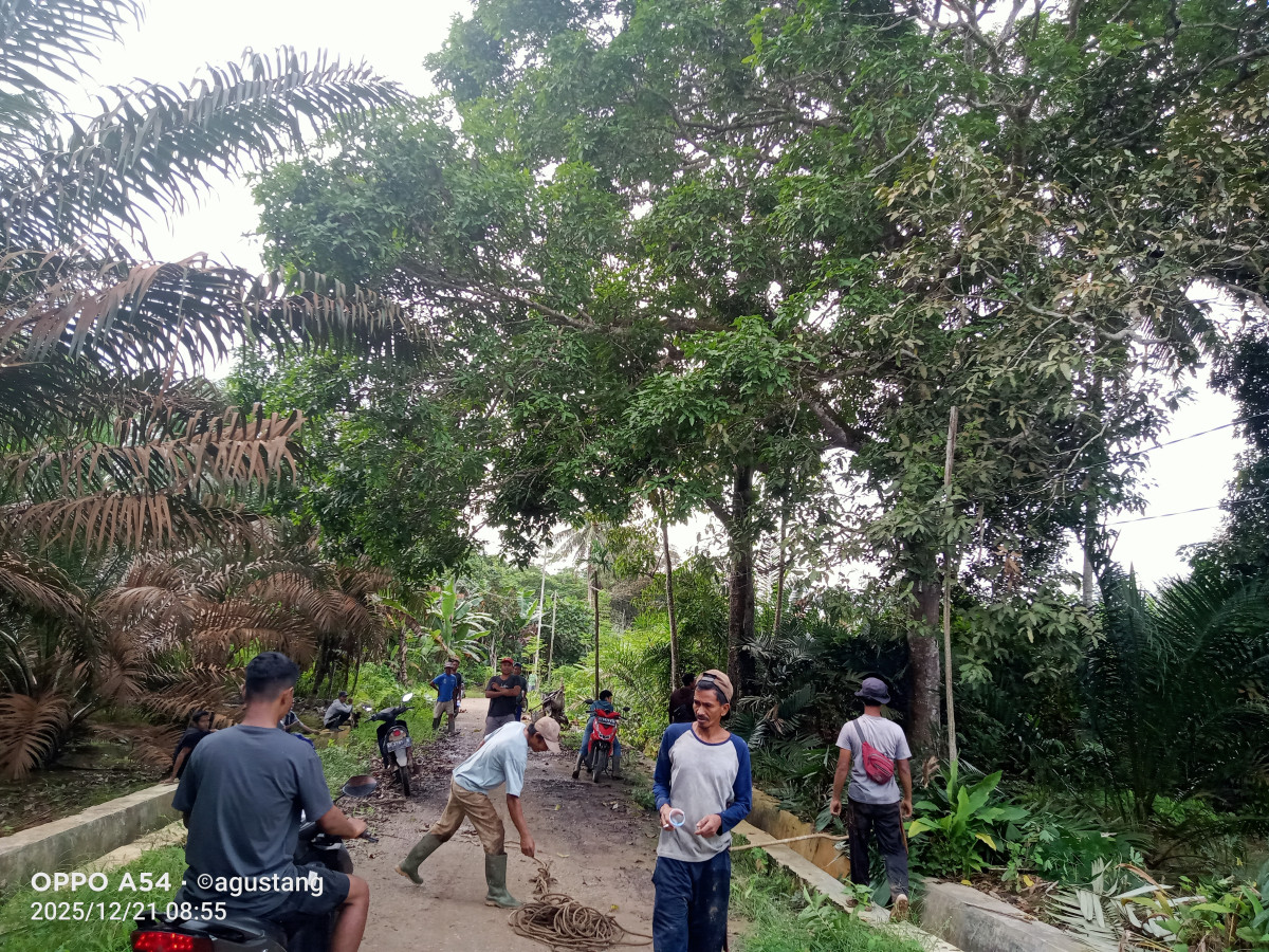 Gotong royong