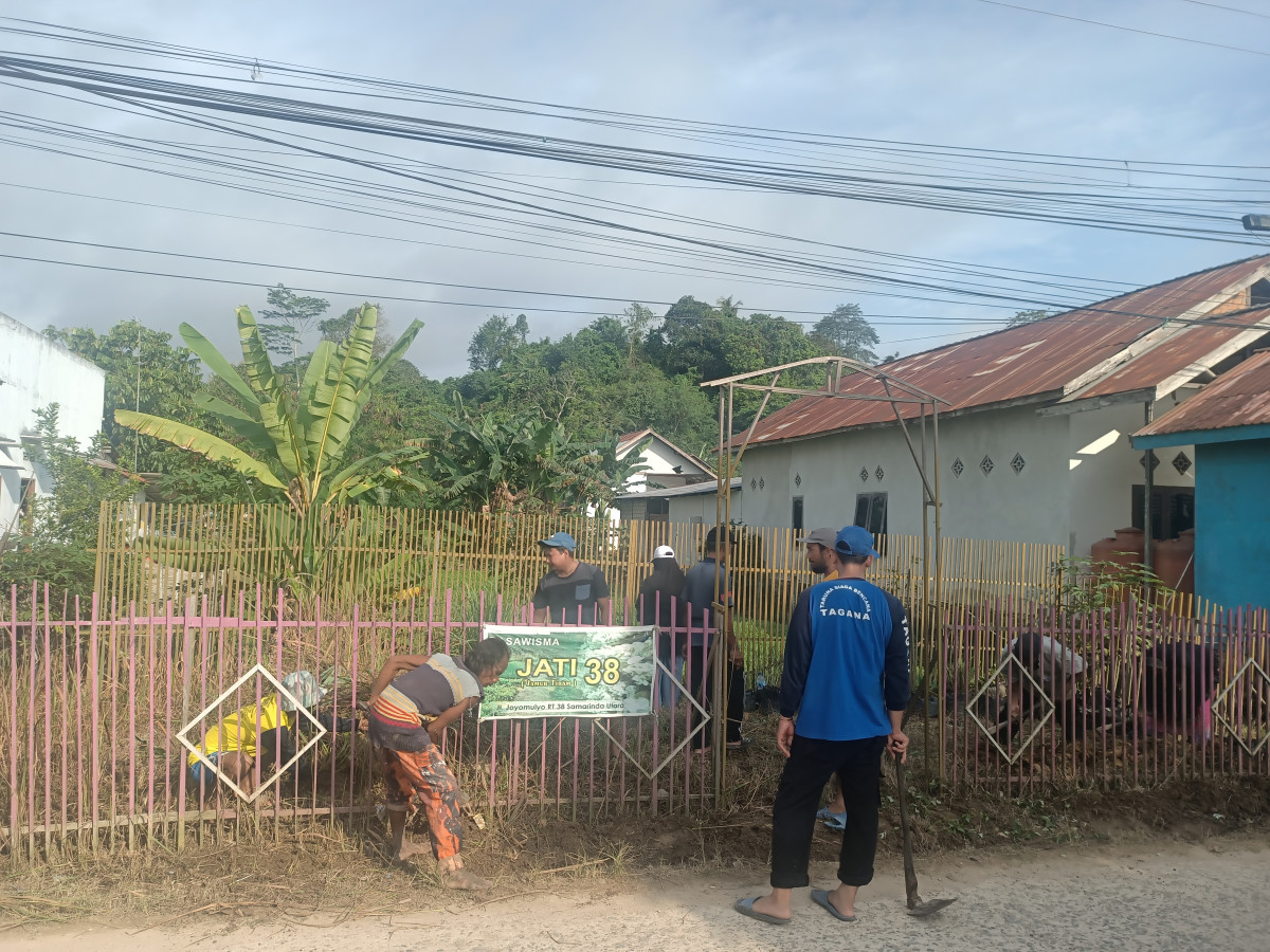 Pembersihan tanaman toga