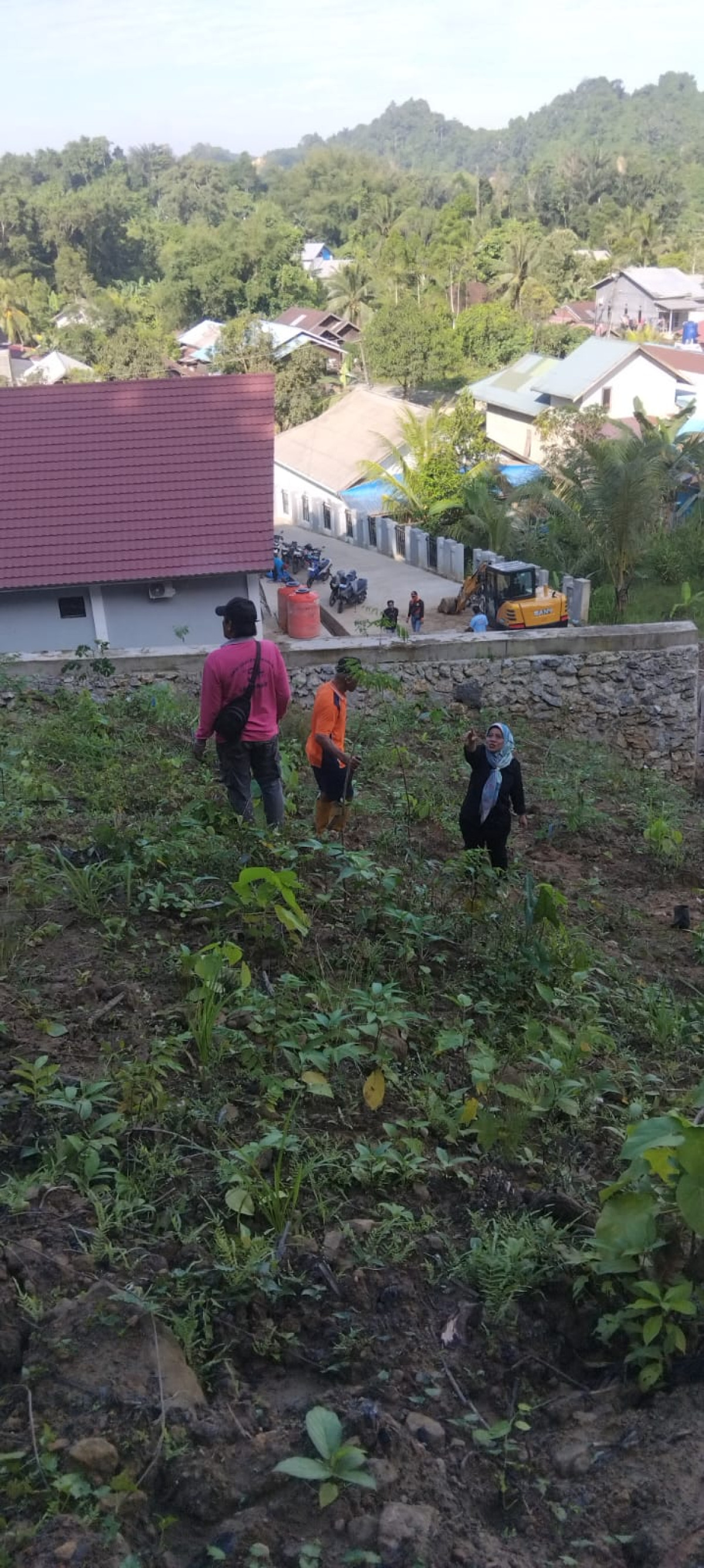 Penanaman pohon