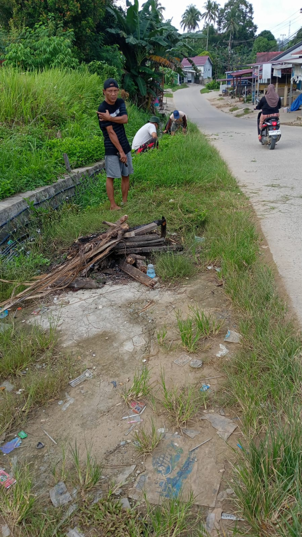 Pembersihan rumput