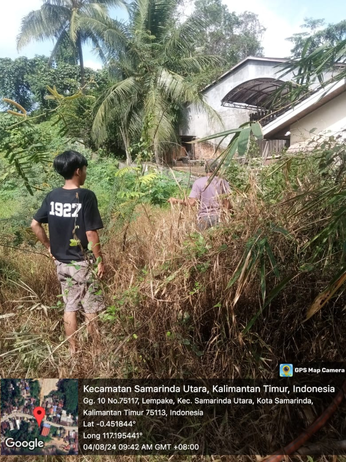 Gotong royong pengambilan bambu untuk umbul umbul