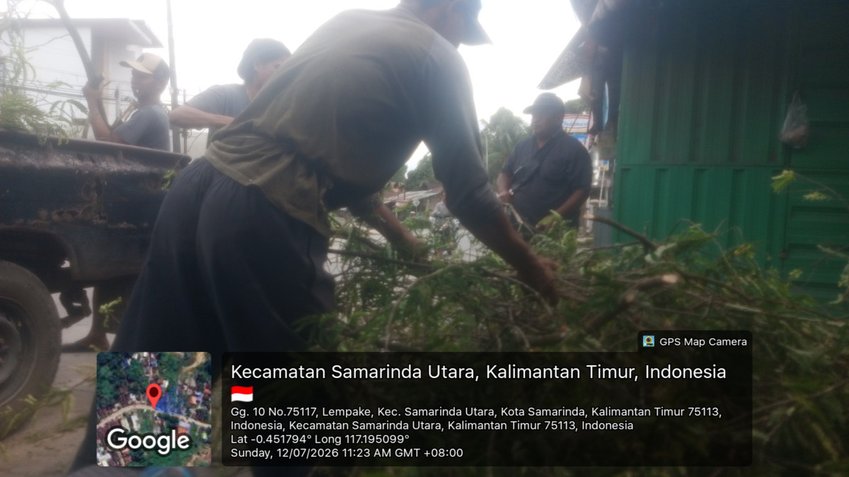 Penebangan pohon warga