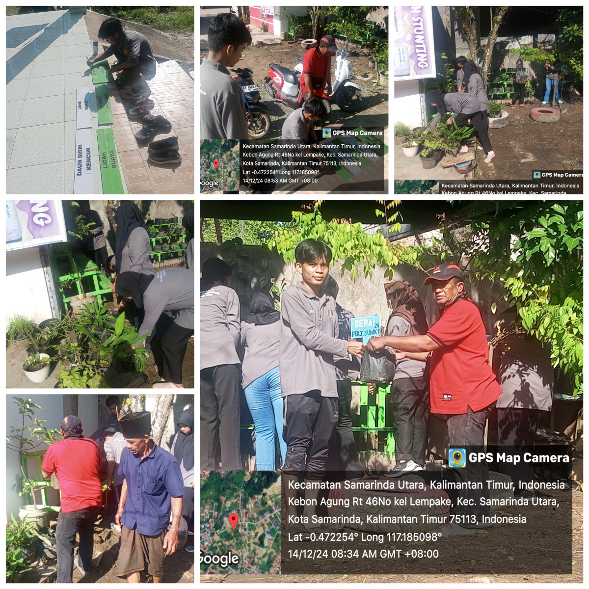 Pembuatan taman toga rt RT 46