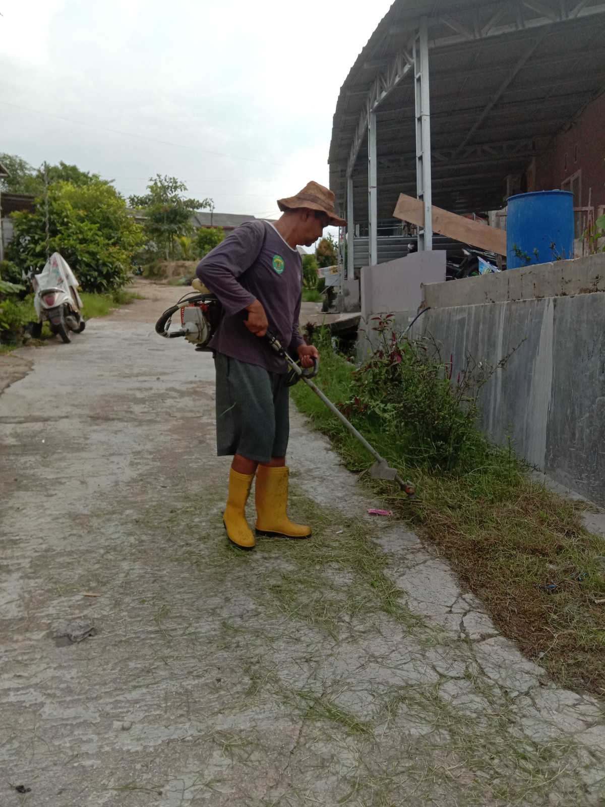 Potong rumput