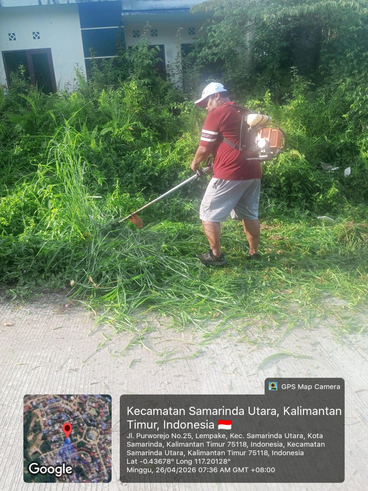 Pemotongan Rumput