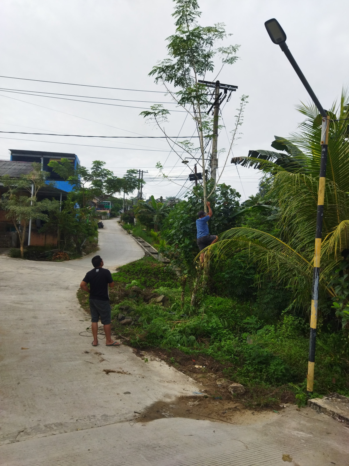 Gotong Royong Cluster Anggi 1