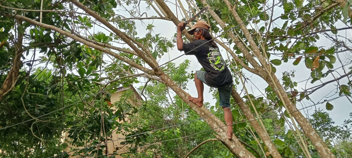 Pembersihan Lingkungan Balai Pertemuan