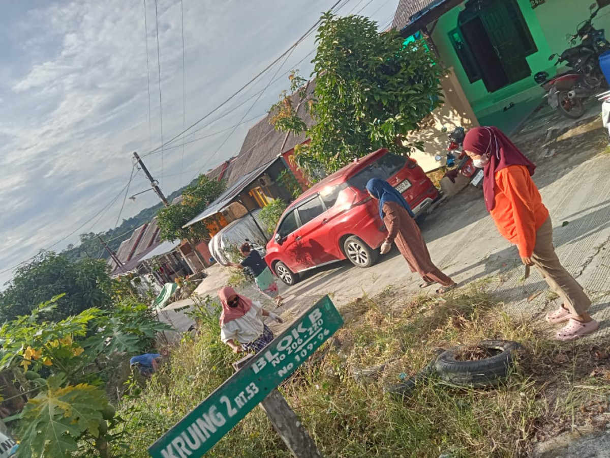 Bersihkan Tanaman Dawis