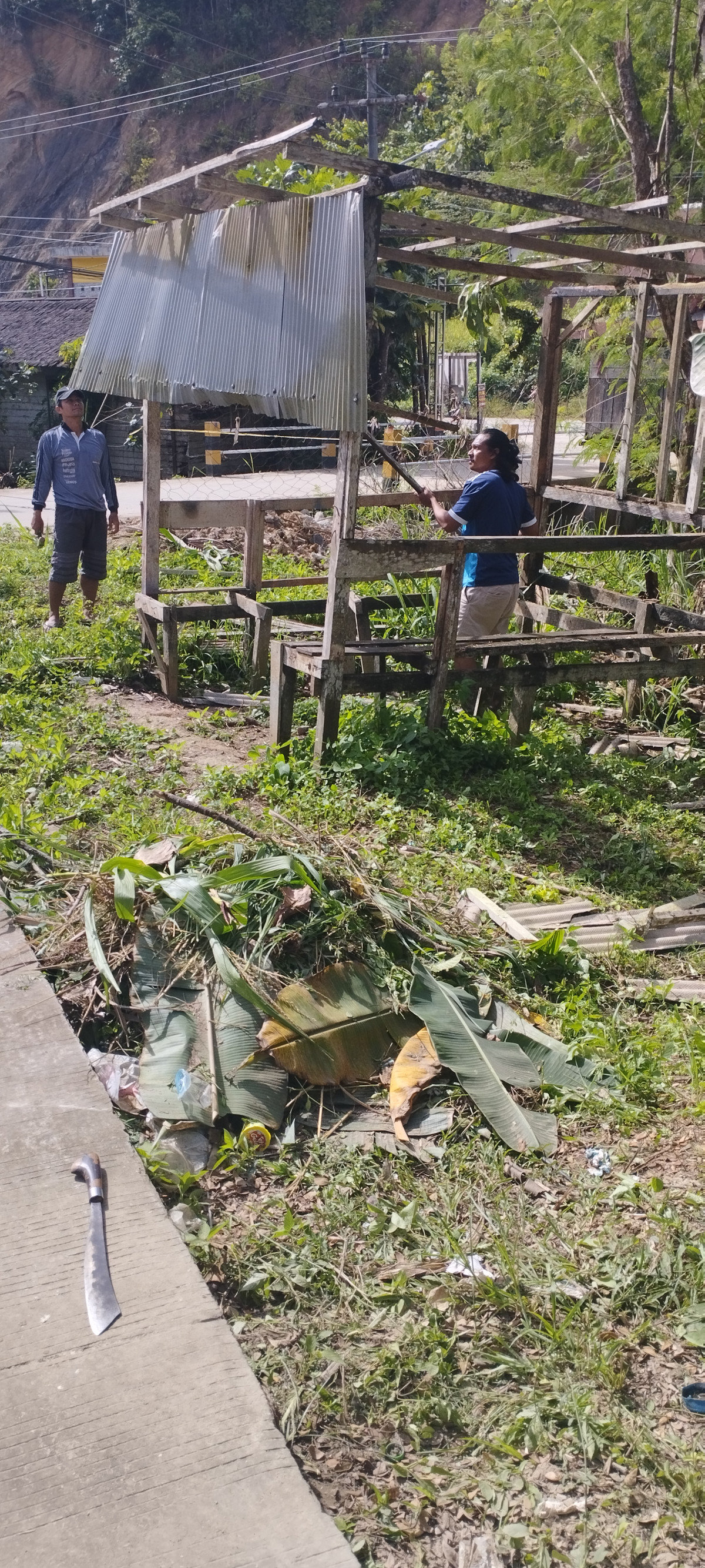 pembersihan rumput