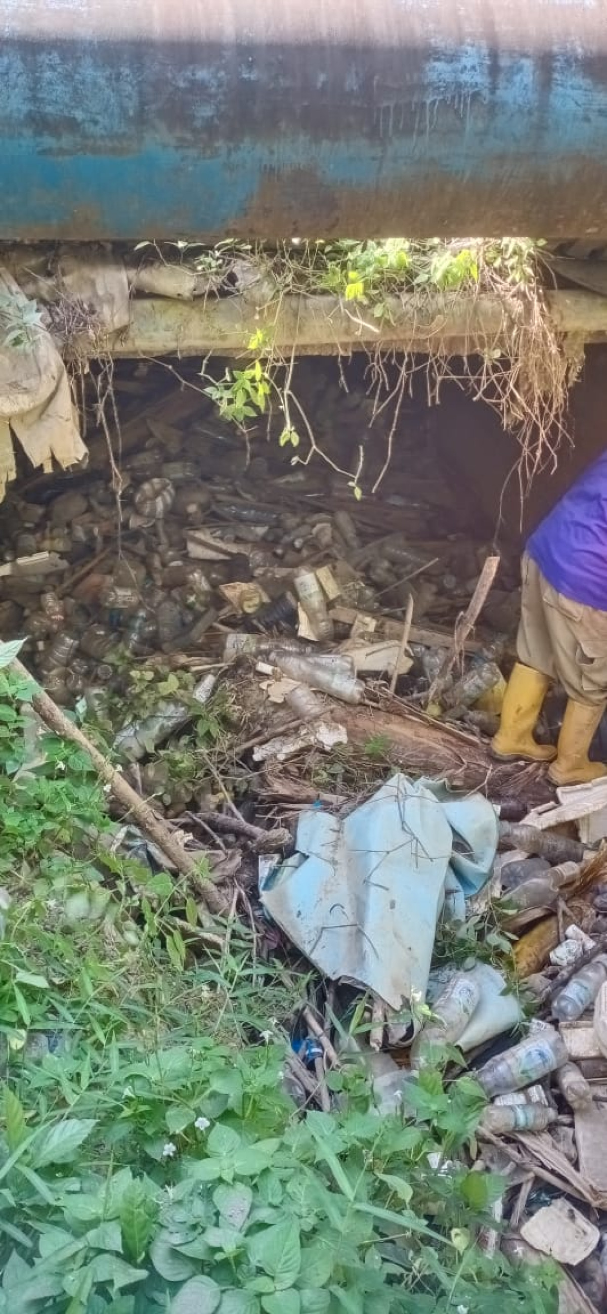 pemberaihan sampah digorong²