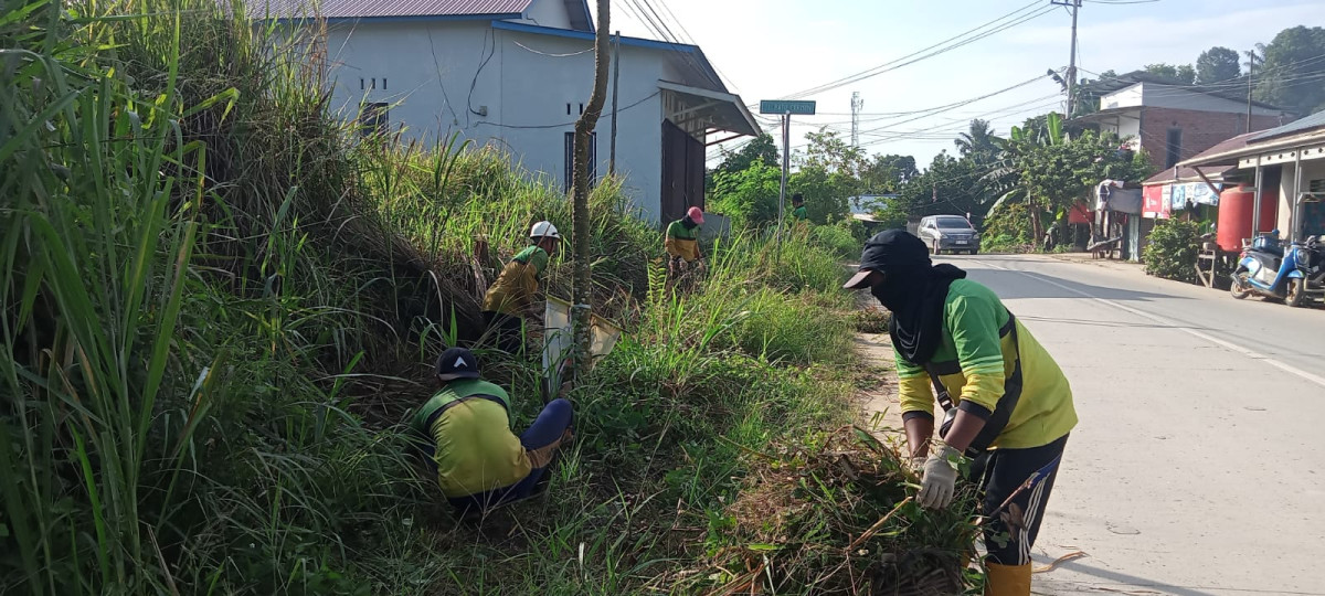 Pembersihan rumput jalan poros
