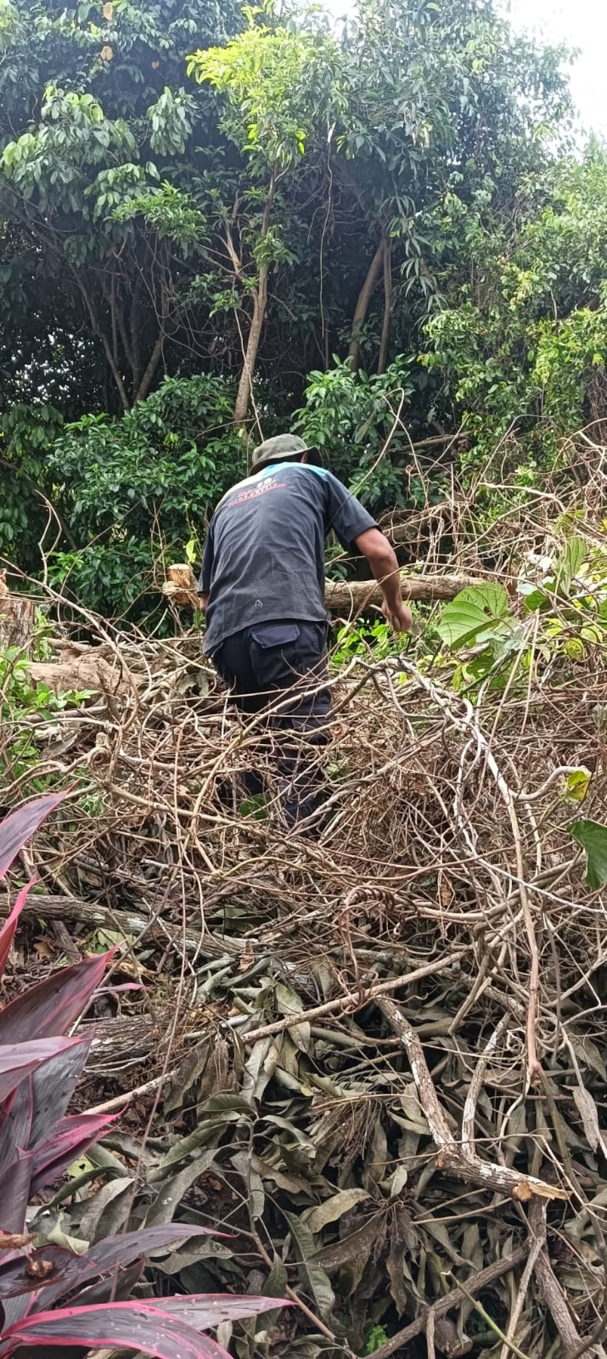 Gotong Royong