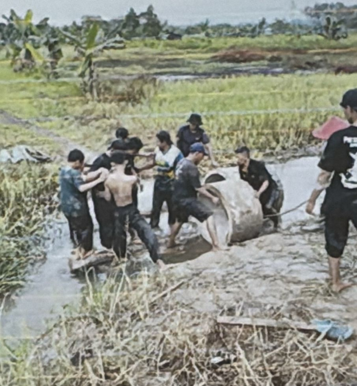 Gotong royong 2