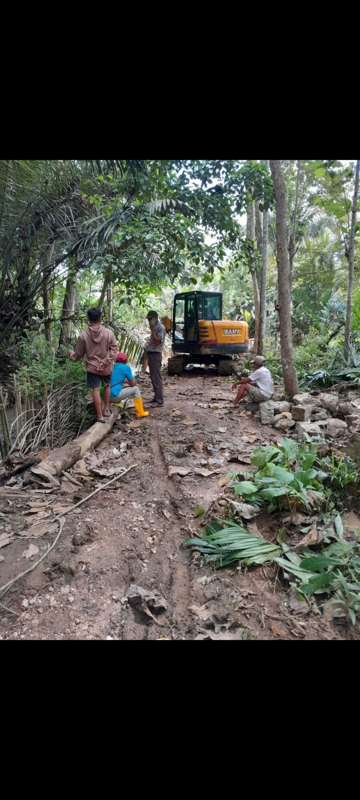Pembersihan jalan pinang seribu