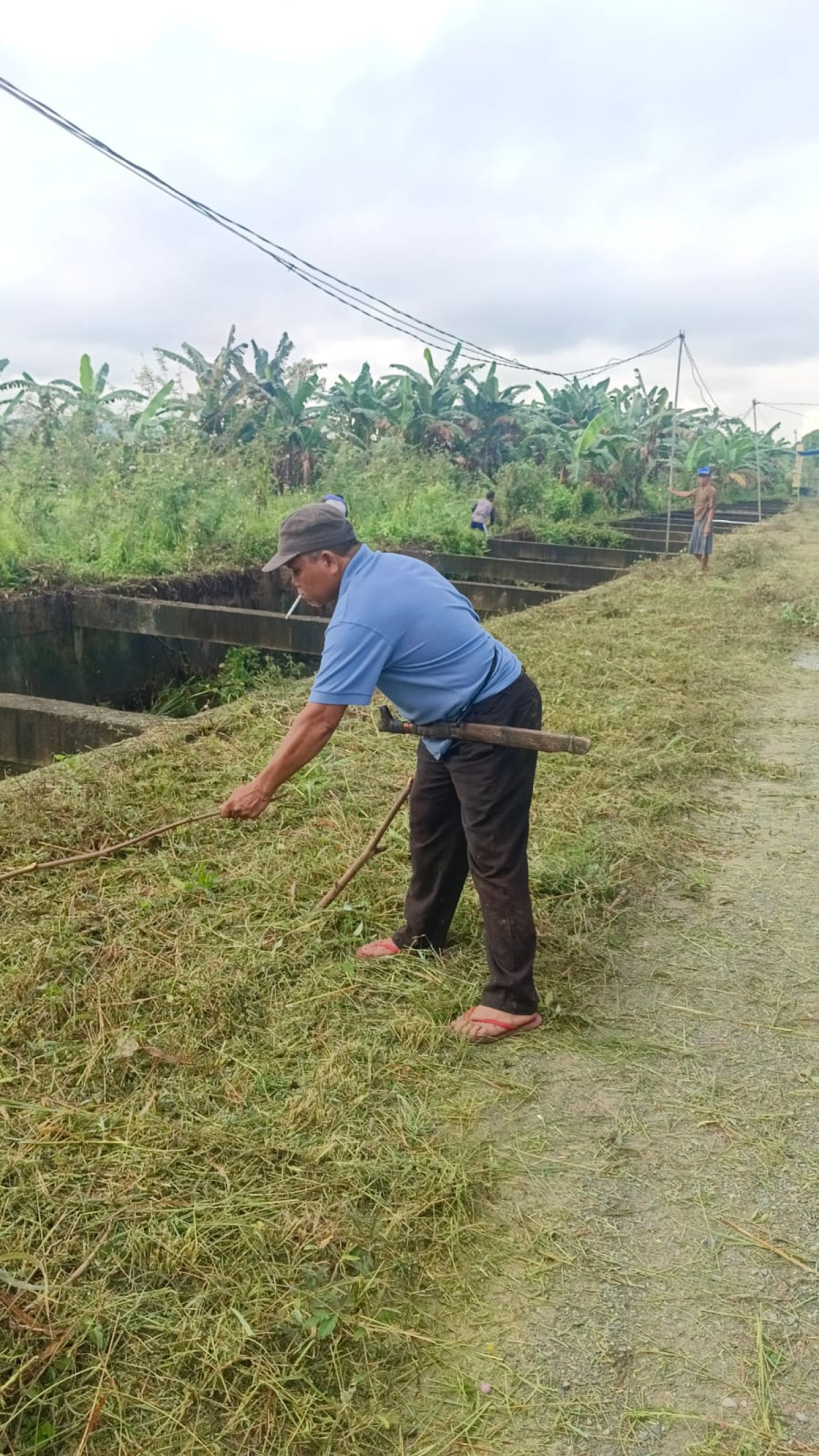 GOTONG ROYONG BERSIHKAN RUMPUT PINGGIR JALAN SEKITAR RT 17