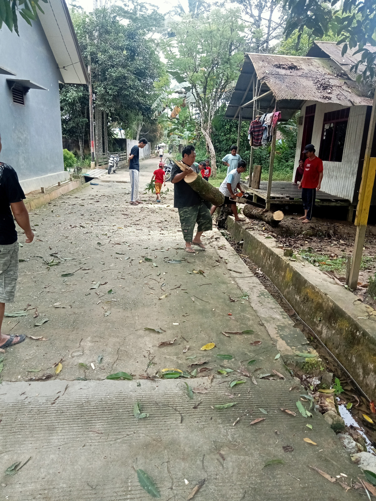 Berdirikan tiang lampu jalan dan pembersihan pohon yg melindungi jalan