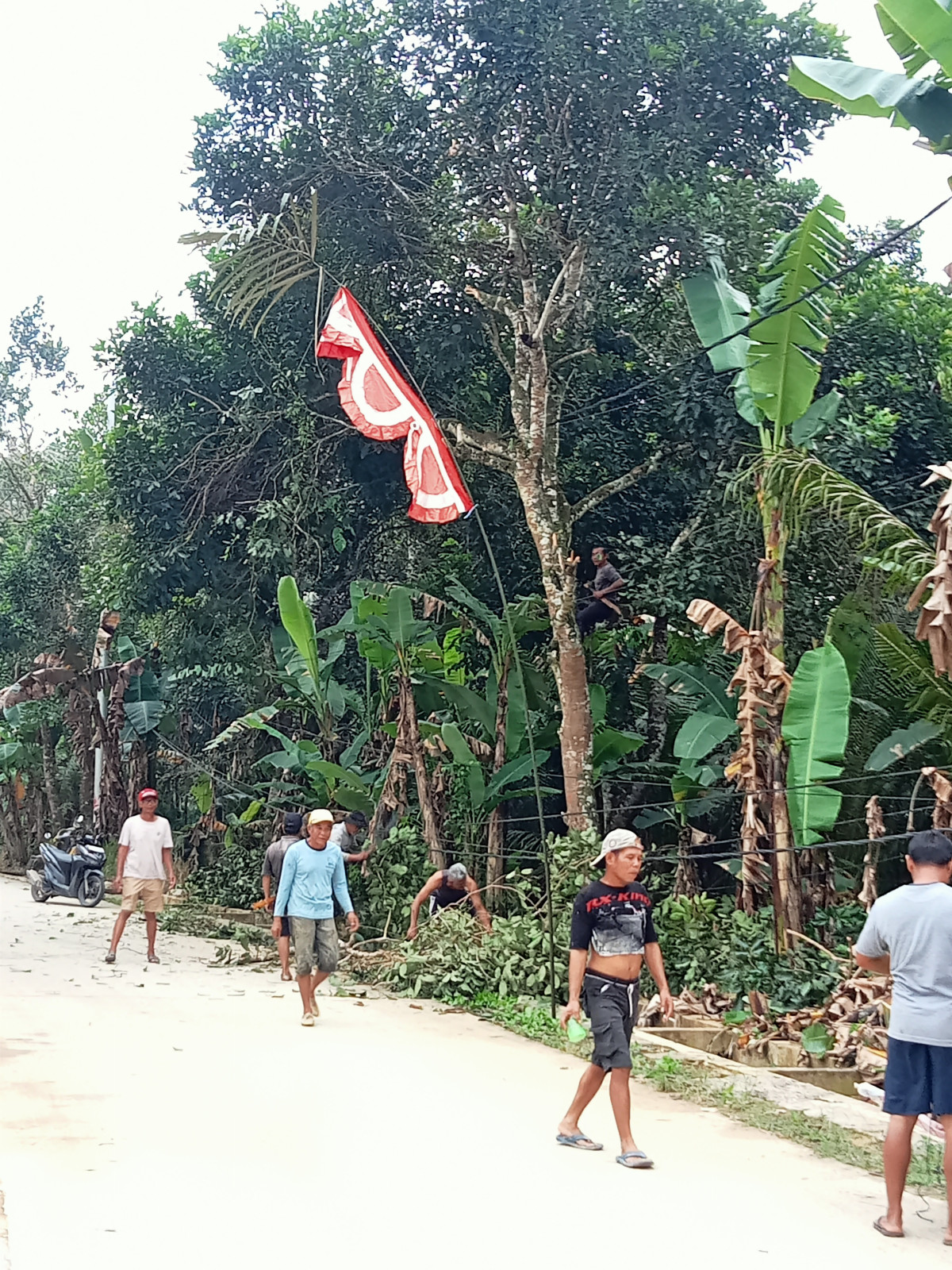 Menebang pohon di jl pondok labu dan teluk Bayur