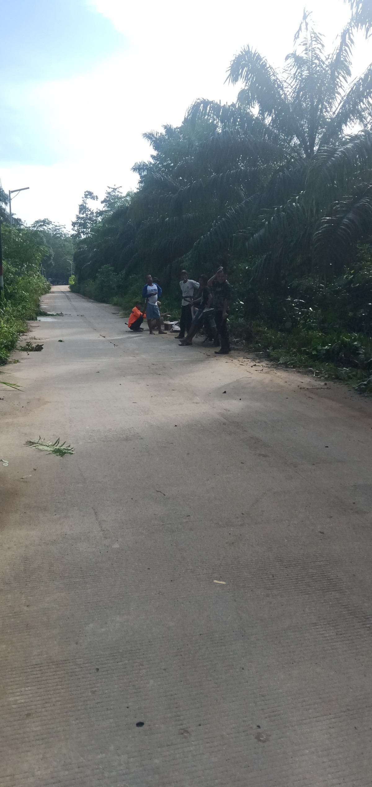 Jl teluk kedondong