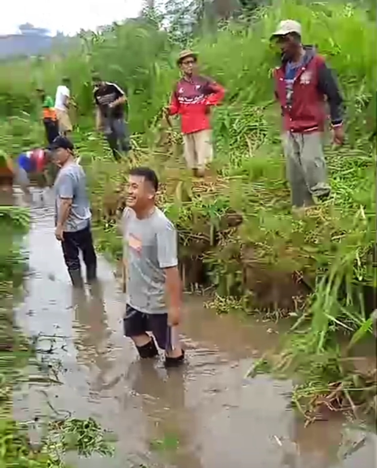 Membersihkan rumput semak belukar di parit belakang