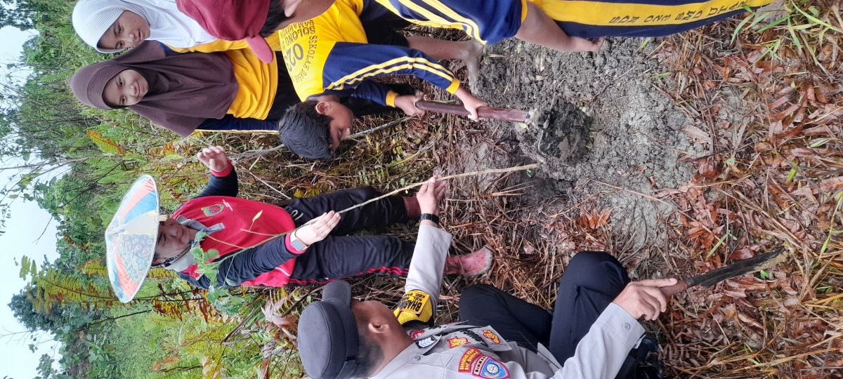 Penanaman pohon