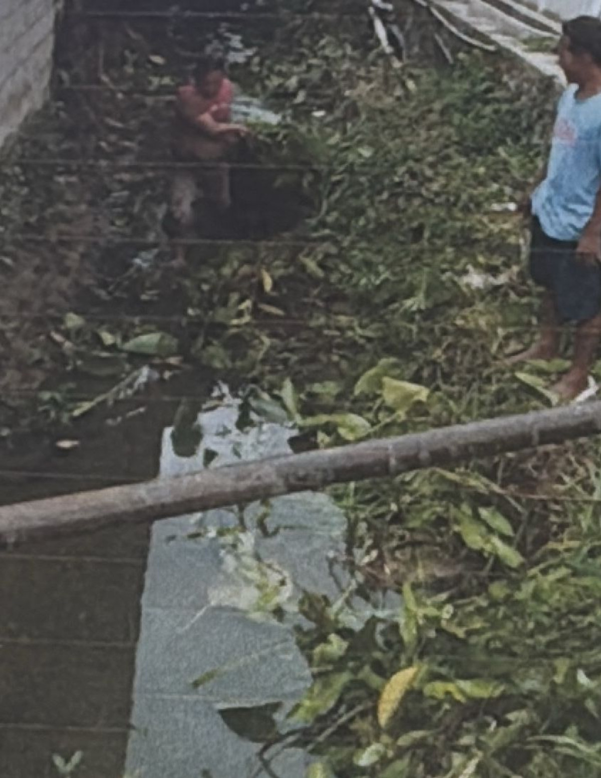 gotong royong 2