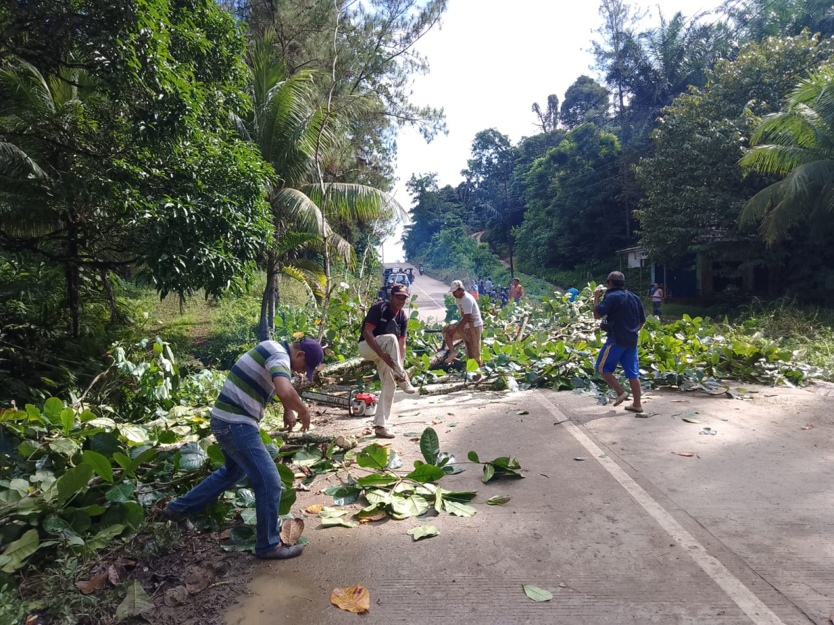 gotong royong 2