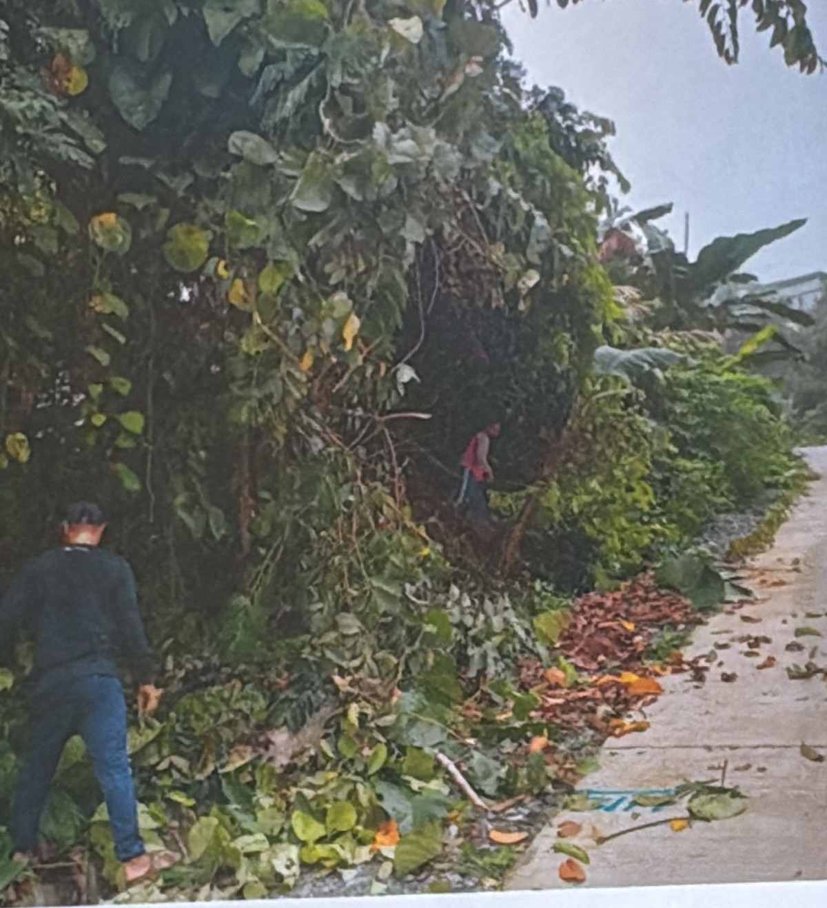 Gotong Royong 2
