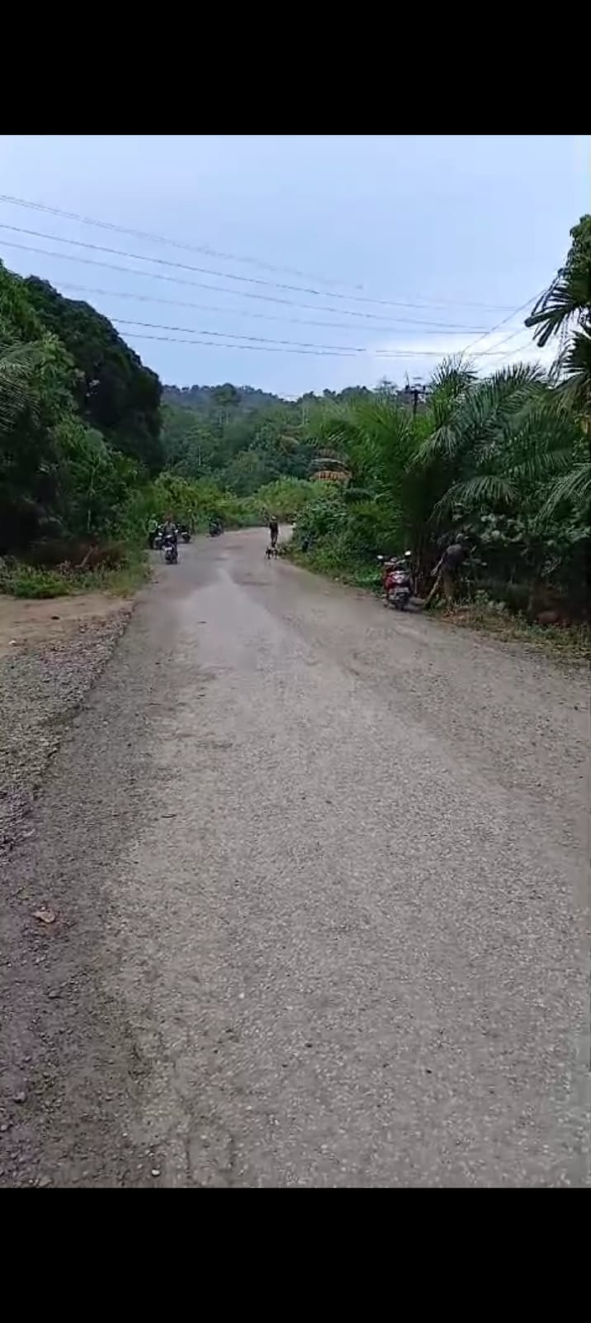 Gotong royong