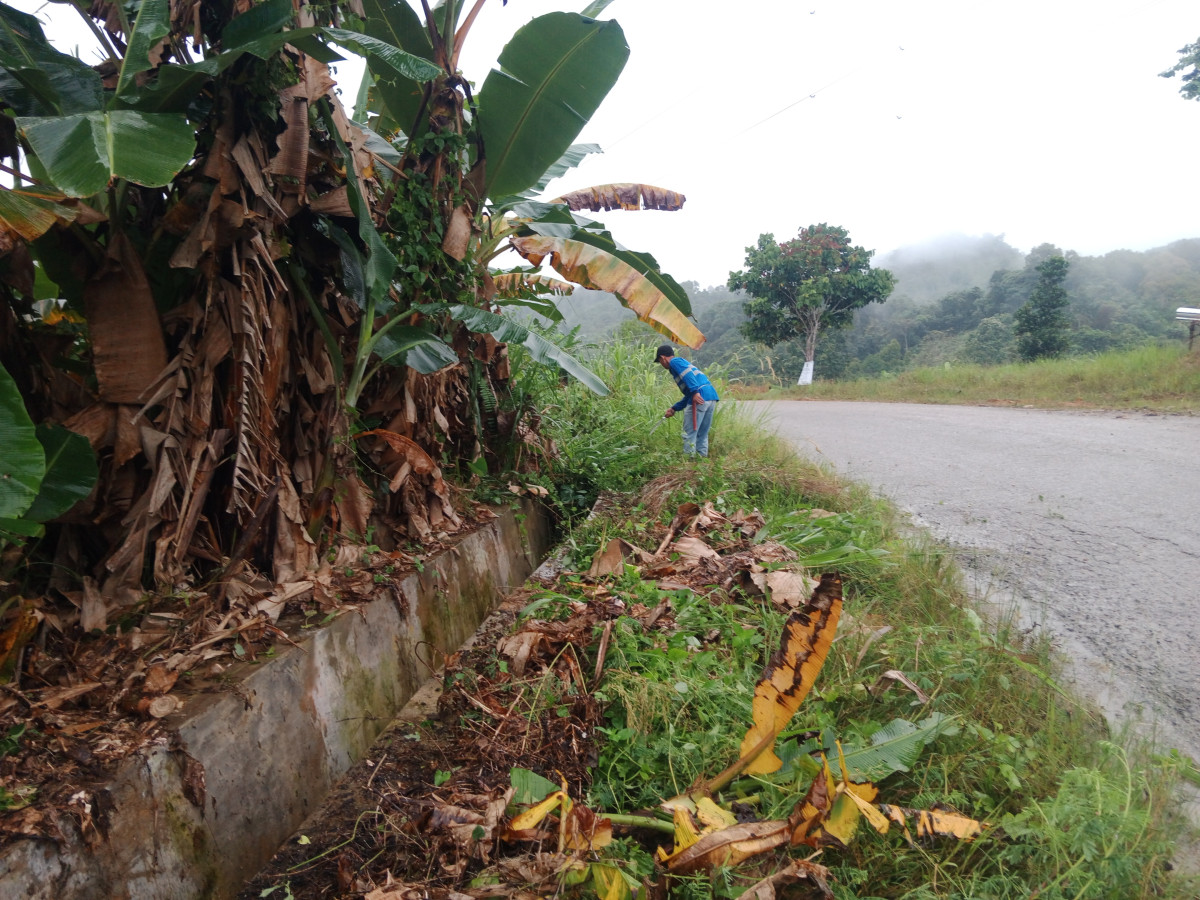 Gotongroyong jalan berambai rt31