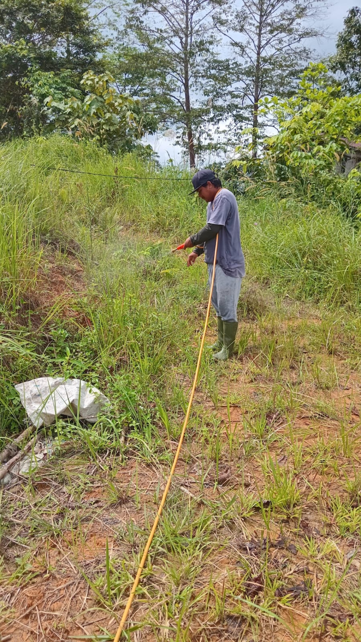 Gotong royong