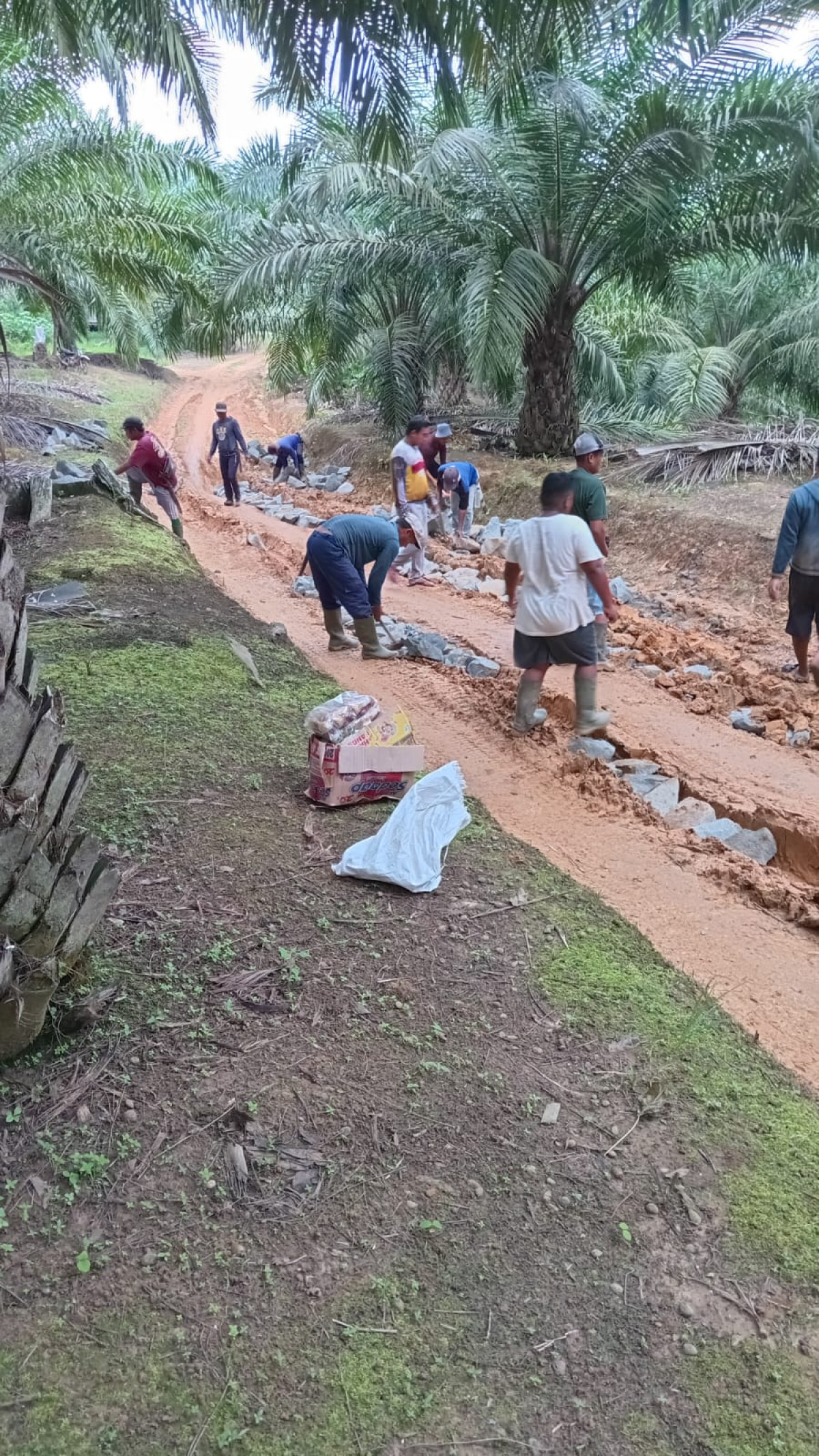 mengisi batu padas ke jln yg becek