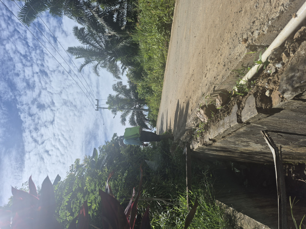 Gotong royong menyemprot rmpt pinggiran badan jalan