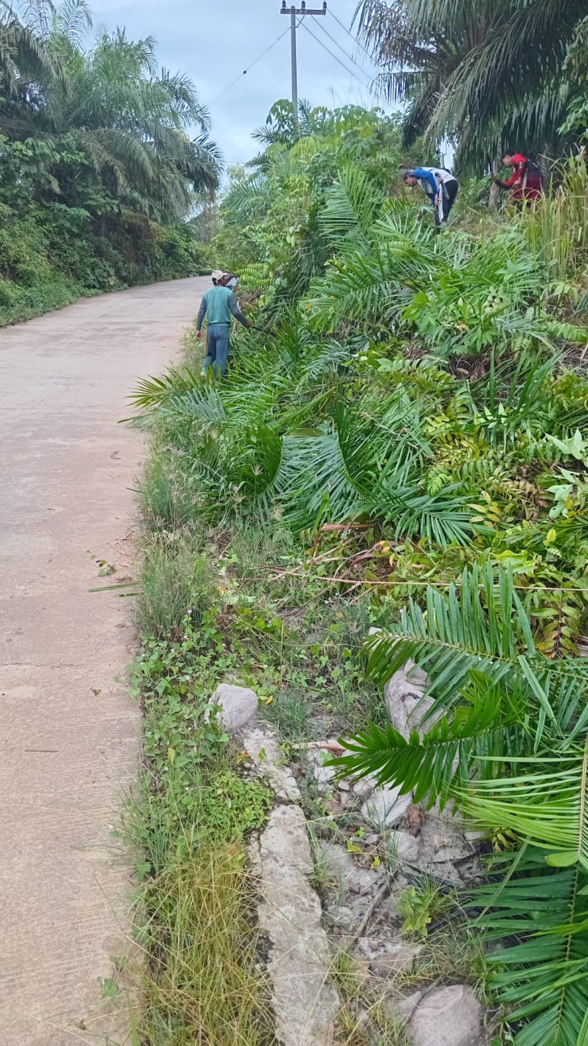 gotong royong merintis