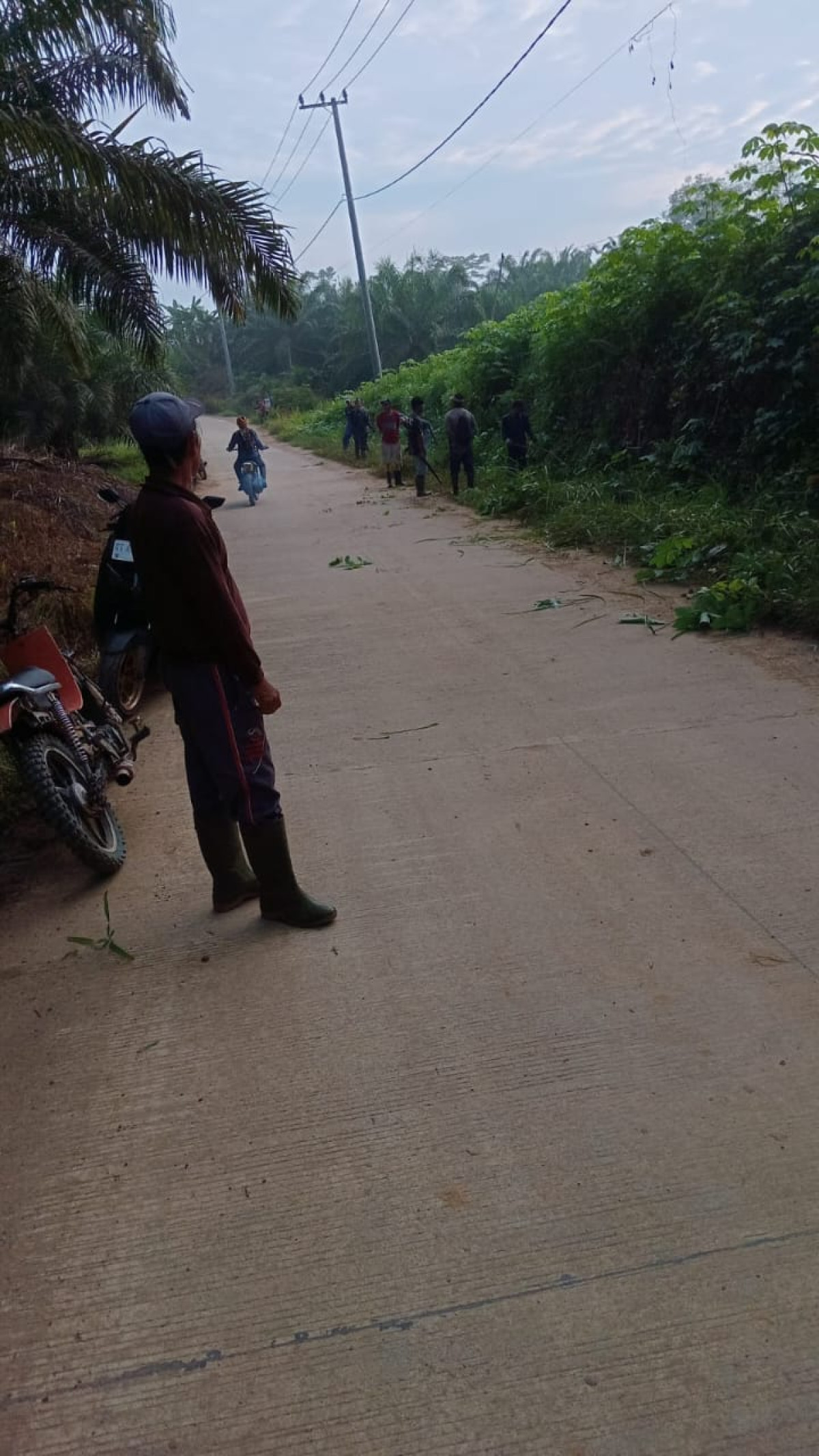 Gotong royong merintis
