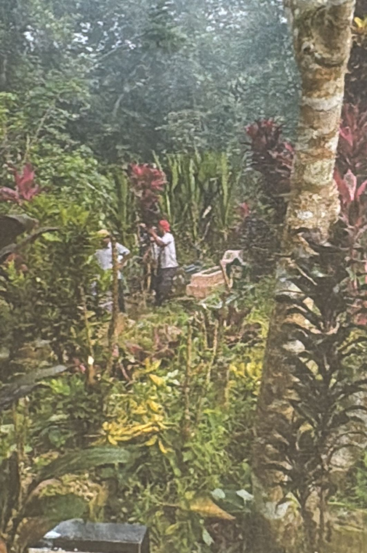 Gotong Royong 2