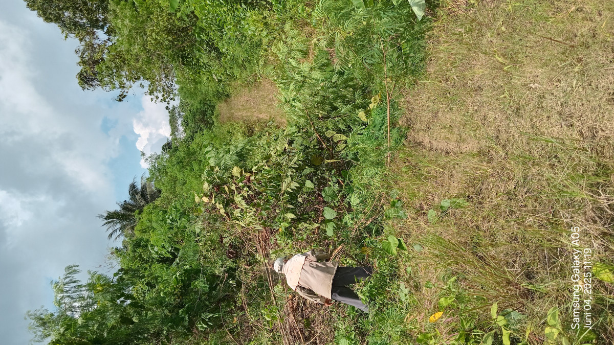 Gotong royong