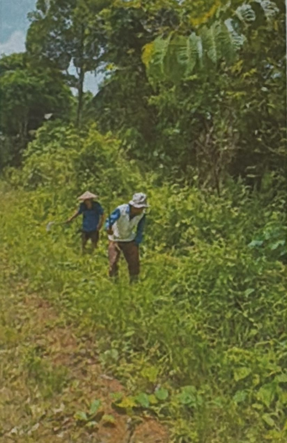 Gotong Royong 2